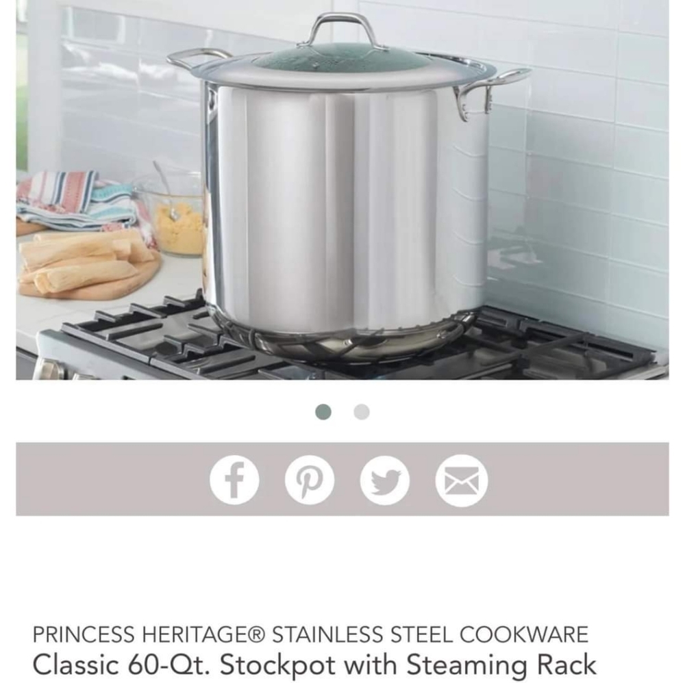 Princess house olla de 60 qts con parrilla